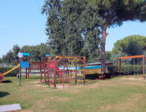 tree, outdoor, grass, sky, playground, climbing frame